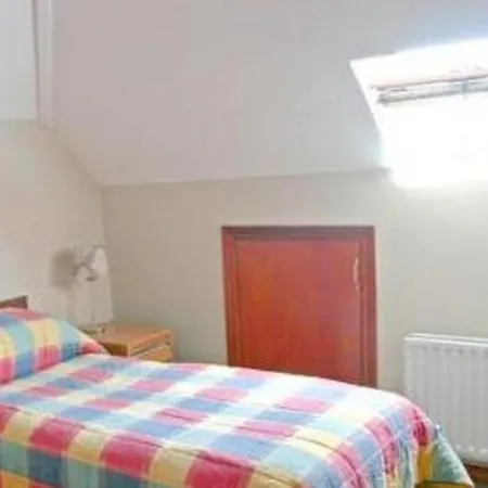 Copper Beech 3*